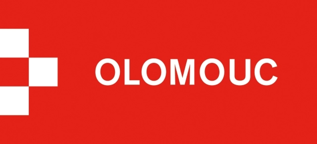 Logo partnera
